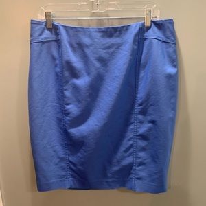 Blue Ann Taylor Skirt